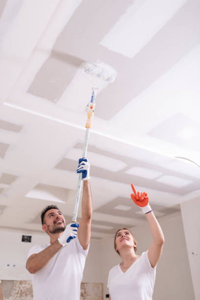 Trusted Purcellville, VA Mold Removal Experts