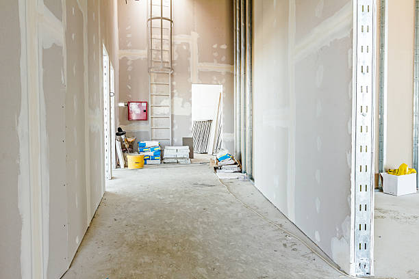 Best Comprehensive Air Testing for Mold Contaminants  in Purcellville, VA